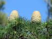 Natur Istriens