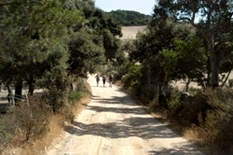 Trekking Istrien