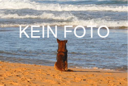 Sport in Istrien