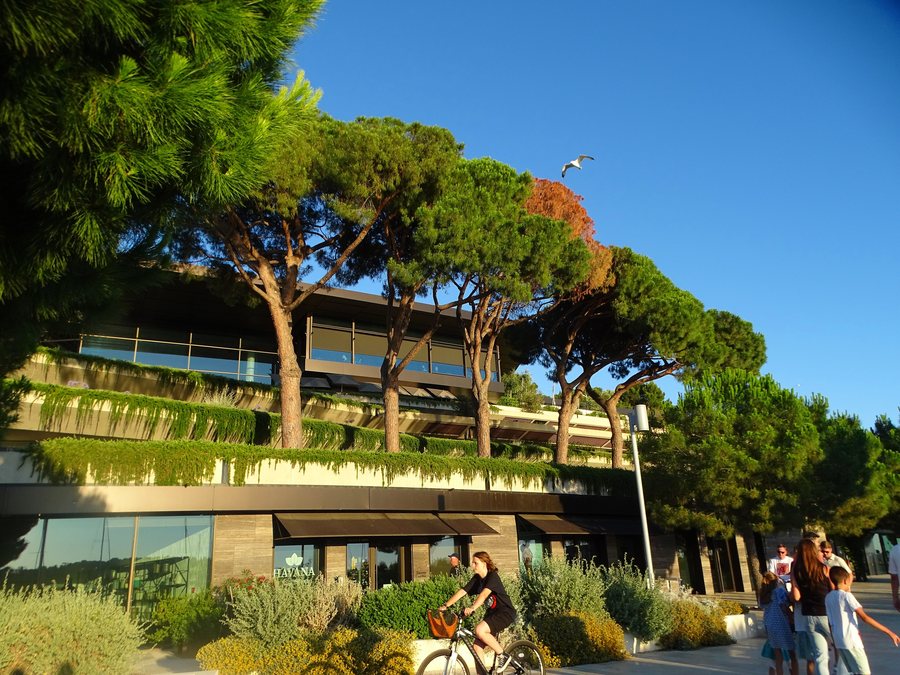 File:Rovinj (Croatia) (54286690913).jpg